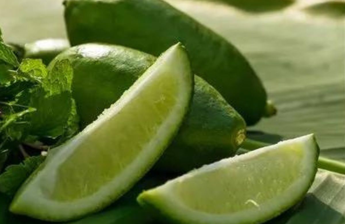 Kaji Nemu | Farm Fresh Assam Lemon 500gms