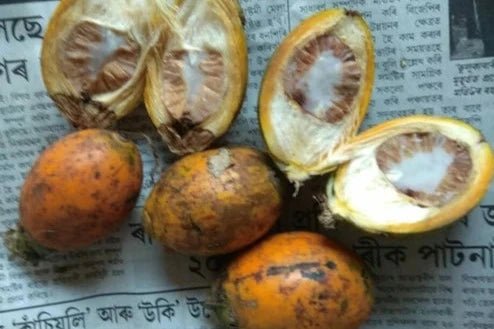 Premium Quality Tamul (Assam Beetle Nut) 10pcs.